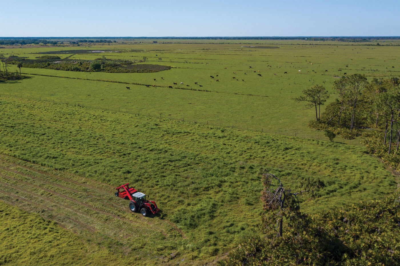 Massey Ferguson 1316 S