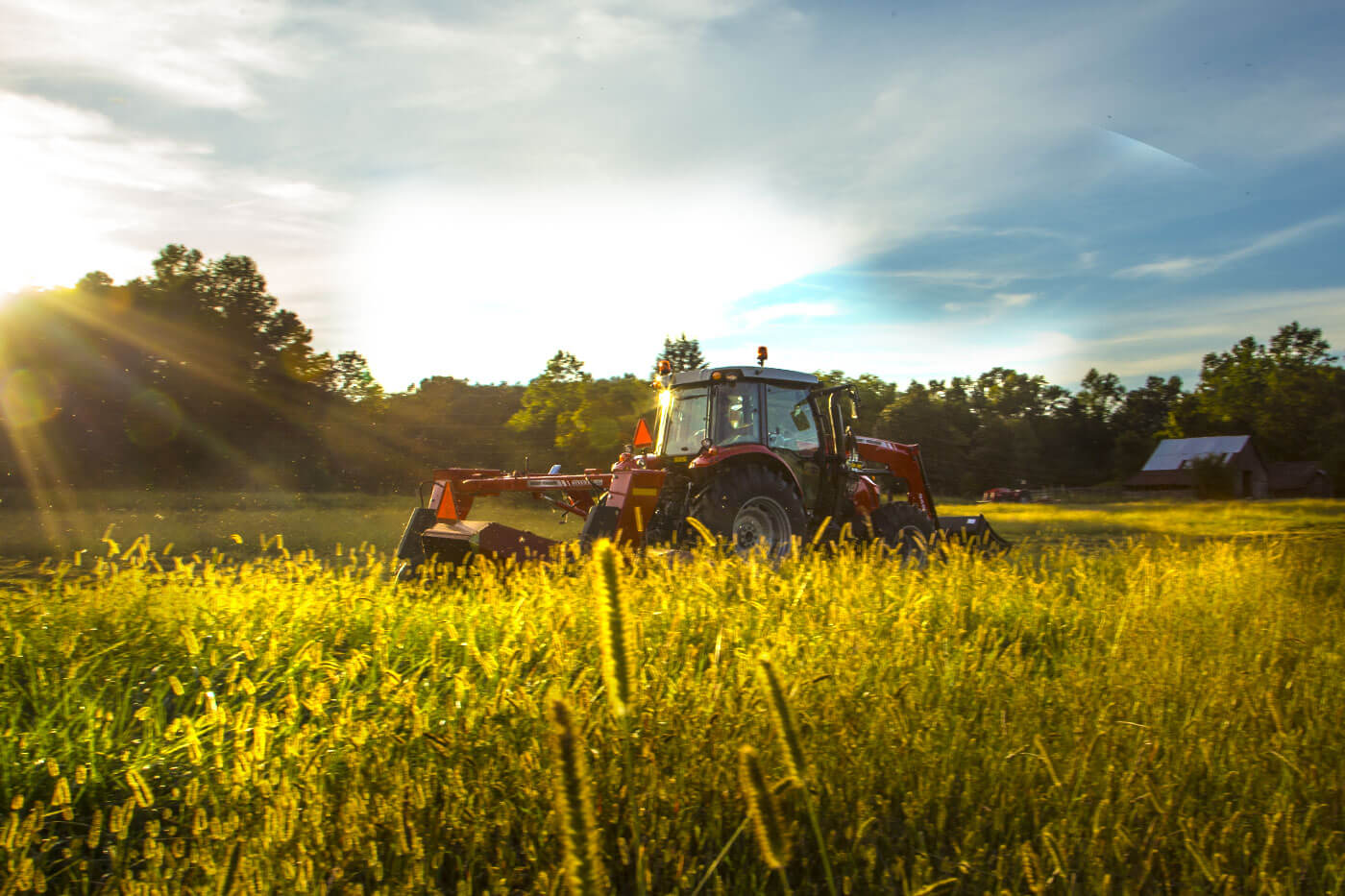 Massey Ferguson MF 5710 D