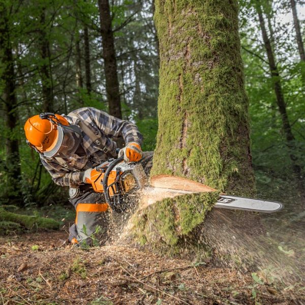 STIHL MS 500¡ R