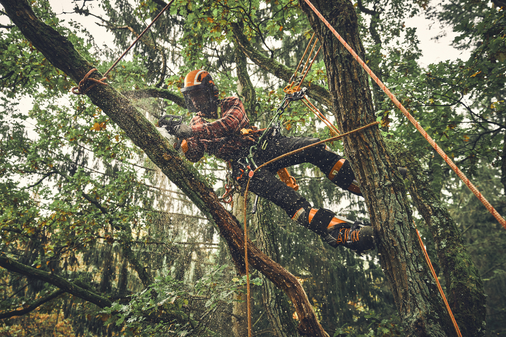 STIHL MSA 190 T Battery Powered Chainsaw